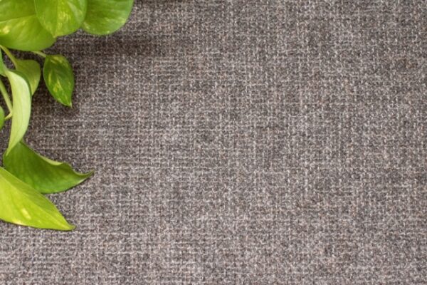 これから注文住宅を建てる方に向けて内装の決め方とポイントを解説します！