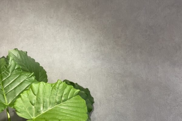 注文住宅の内装をオシャレにしたい方必見！壁紙の決め方を紹介します