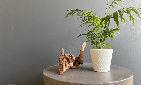 新築建てるなら空間にこだわろう！おしゃれなクロスの種類と選び方について